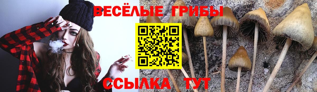 Галлюциногенные грибы мицелий  Вход с VPN  Урус-Мартан  Галлюциногенные грибы Psilocybine cubensis 